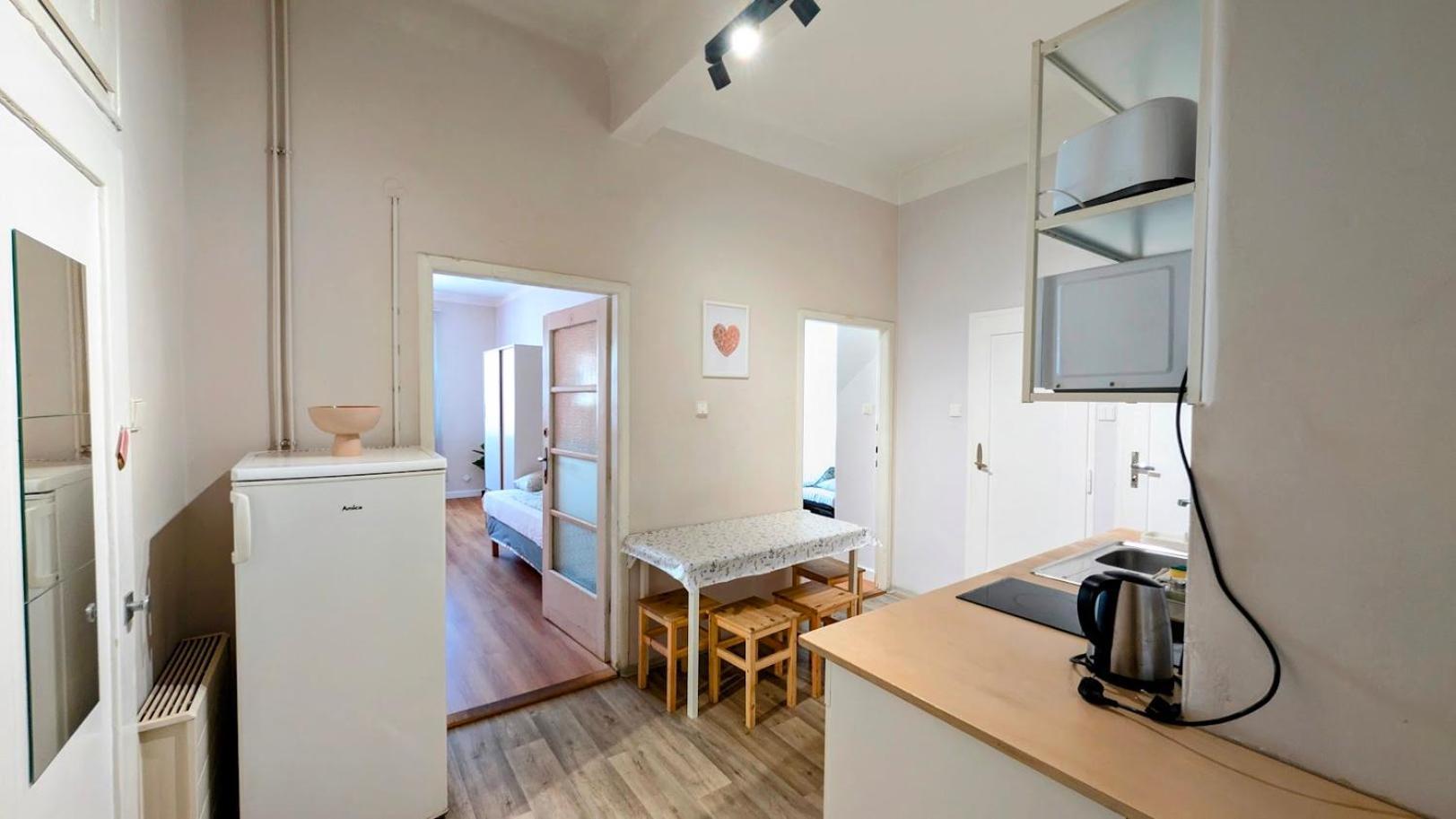 Apartment Flat In Zizkov -403-